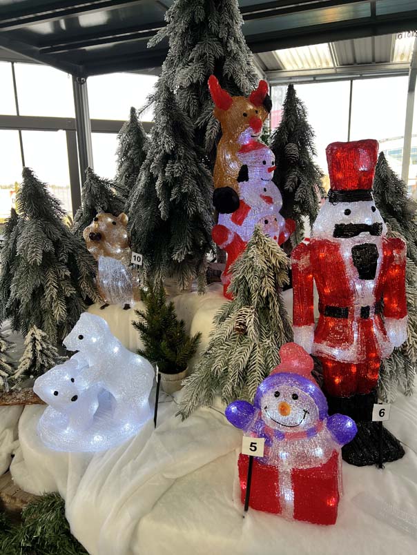 Lumières de la maison et du sapin