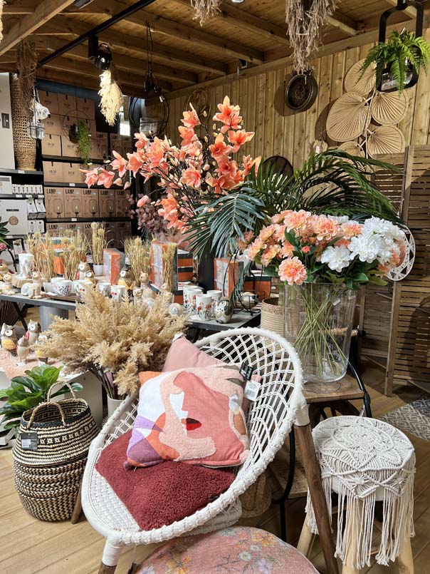 Mobilier et cheminée