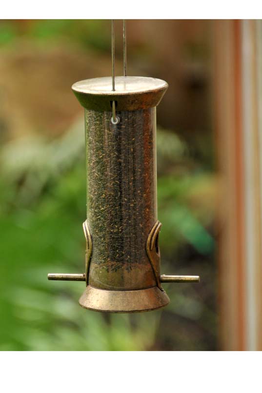 Oiseaux du ciel