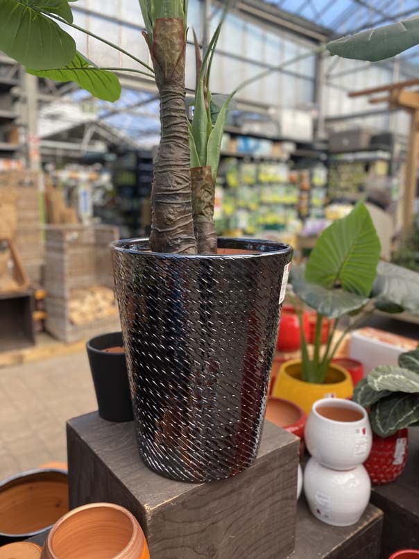 Intérieur et Extérieur