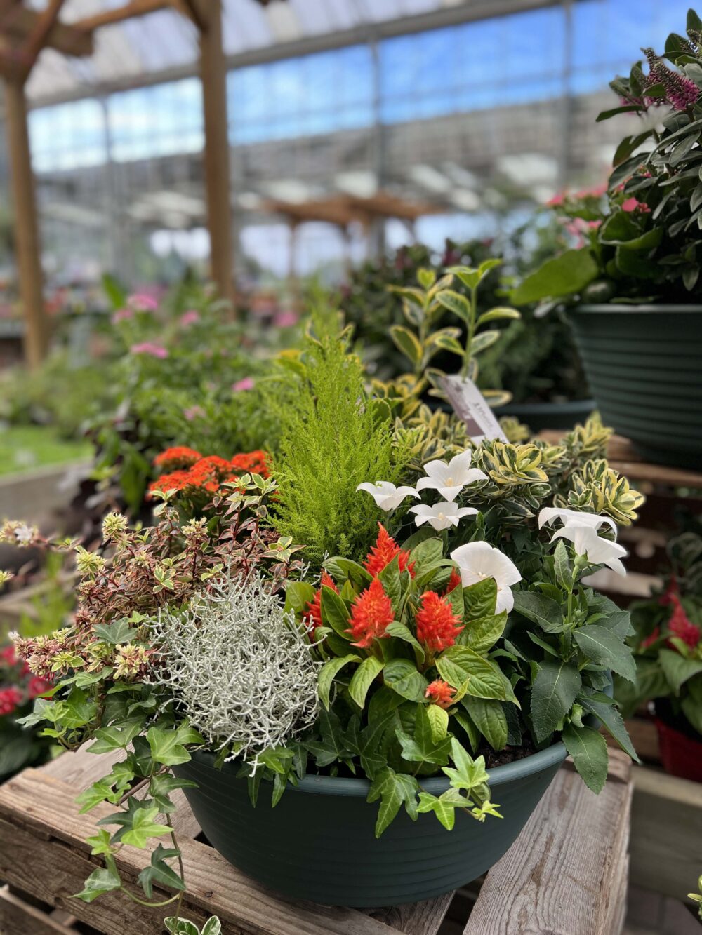 compo fleuriste montbeliard 6 compo fleuriste montbeliard 6