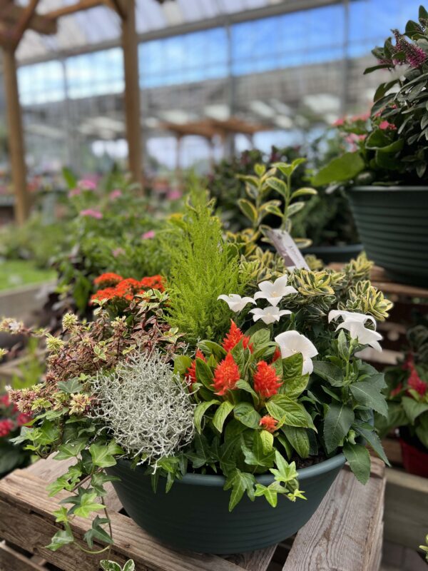 compo fleuriste montbeliard 6