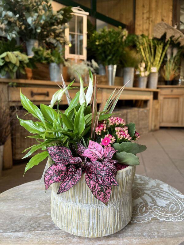 composition fleuriste montbeliard 8