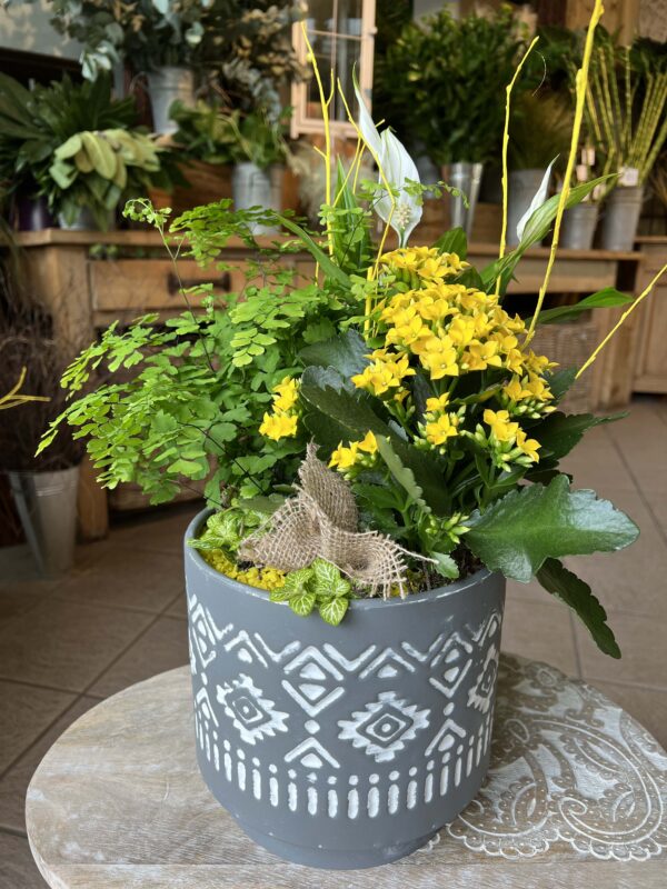 composition fleurs jardinerie potiez 3