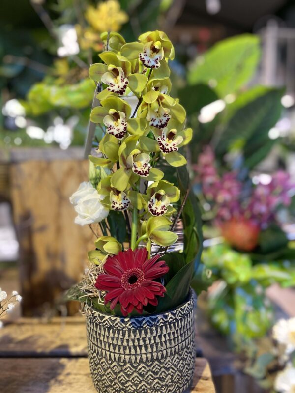 compositions de fleurs livraison montbeliard 6