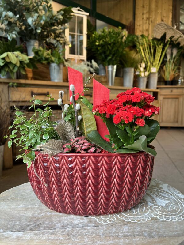 compositions de plantes interieures jardinerie potiez 6