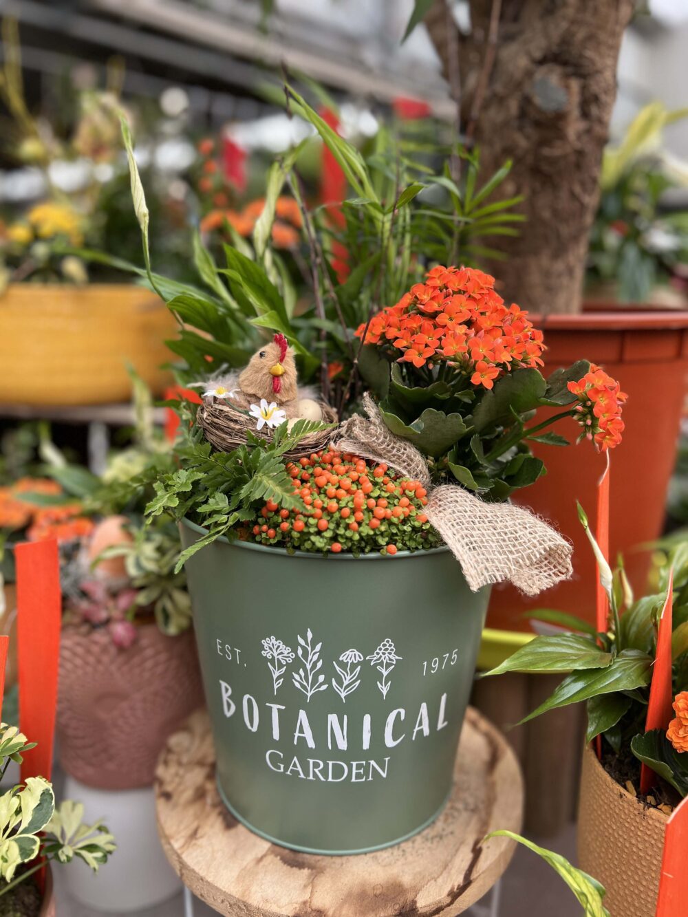 livraison composition plantes fleuries interieures 2 livraison composition plantes fleuries interieures 2