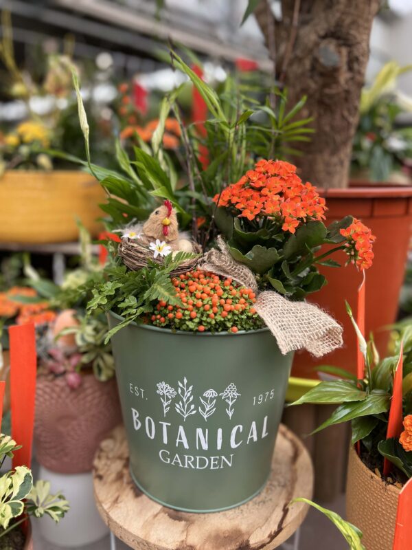 livraison composition plantes fleuries interieures 2