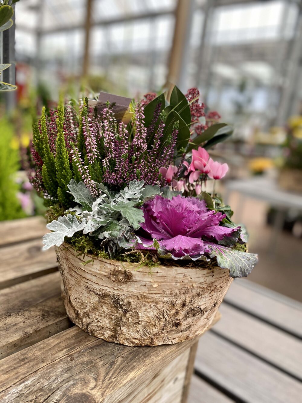 offrir compositions fleurs livraison montbeliard 7 offrir compositions fleurs livraison montbeliard 7