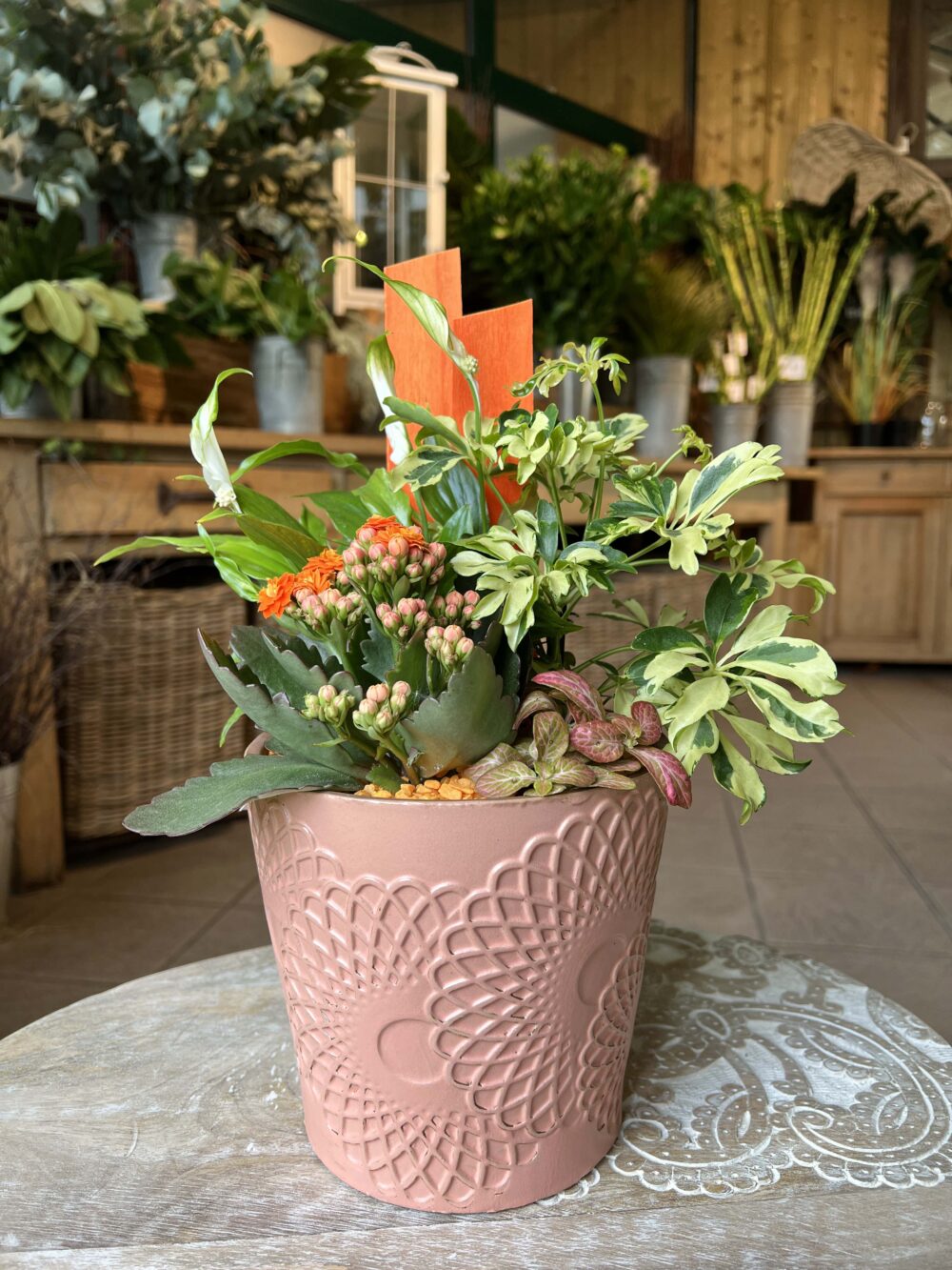 offrir compositon de plantes vertes interieures 5 offrir compositon de plantes vertes interieures 5