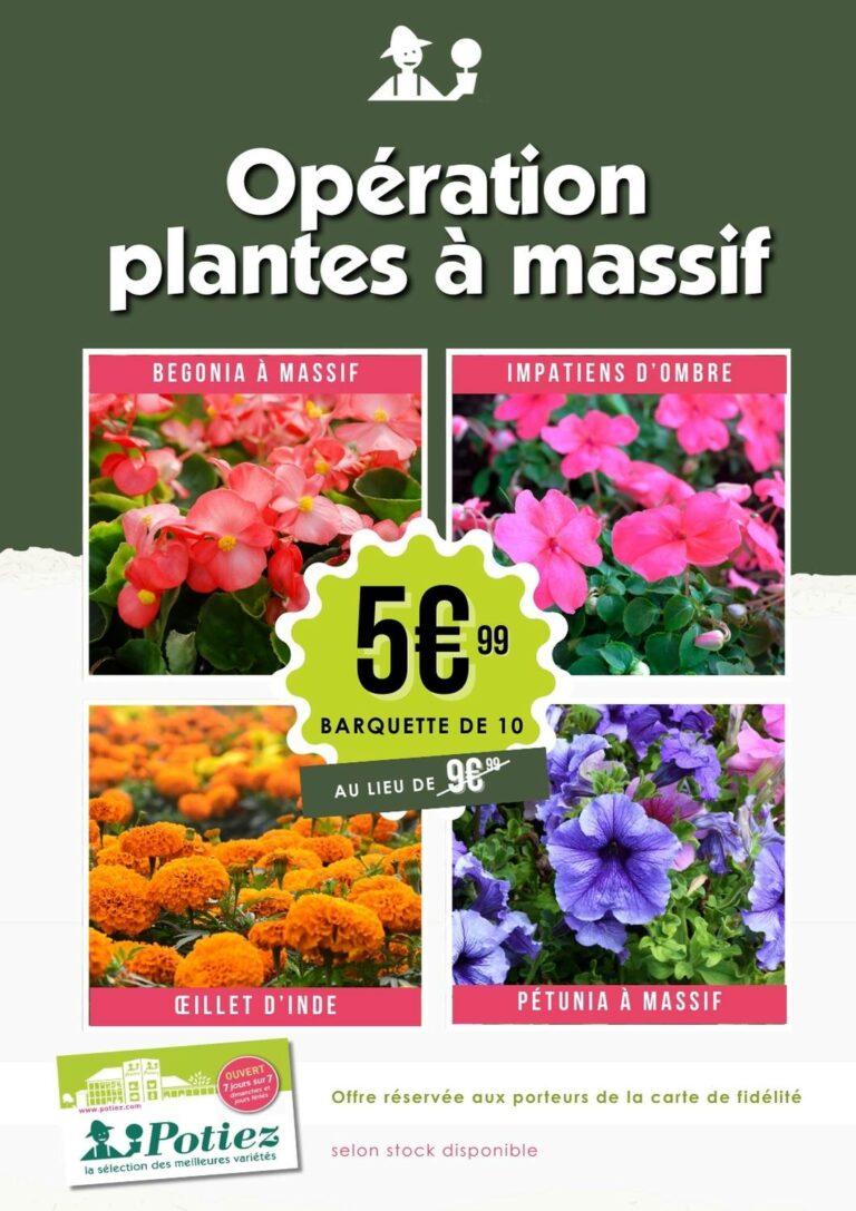 promotion plantes massif begonia impatiens oeillet d'inde pétunia