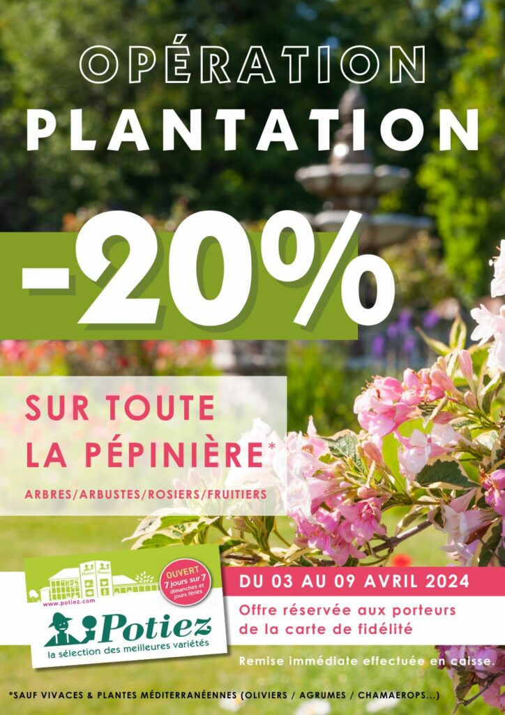 opération plantation -20% sur toute la pépinière