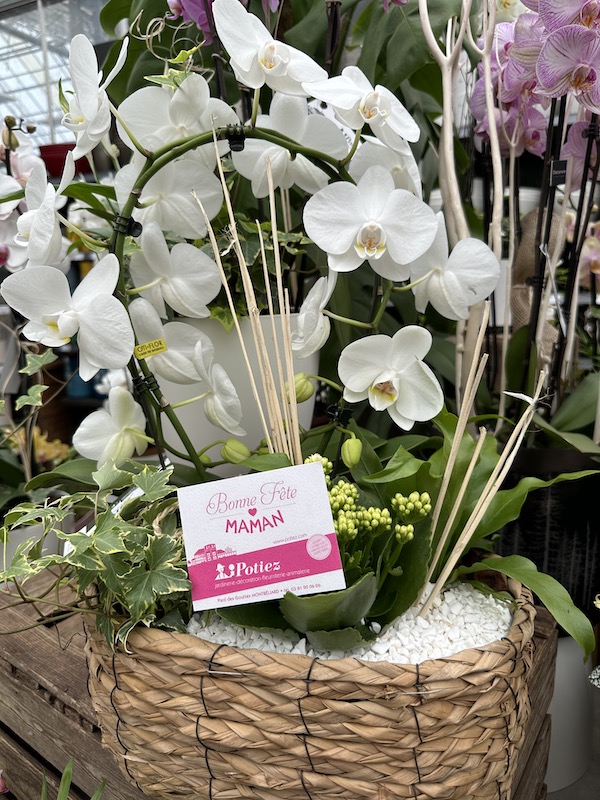 compositions florales jardinerie potiez montbeliard