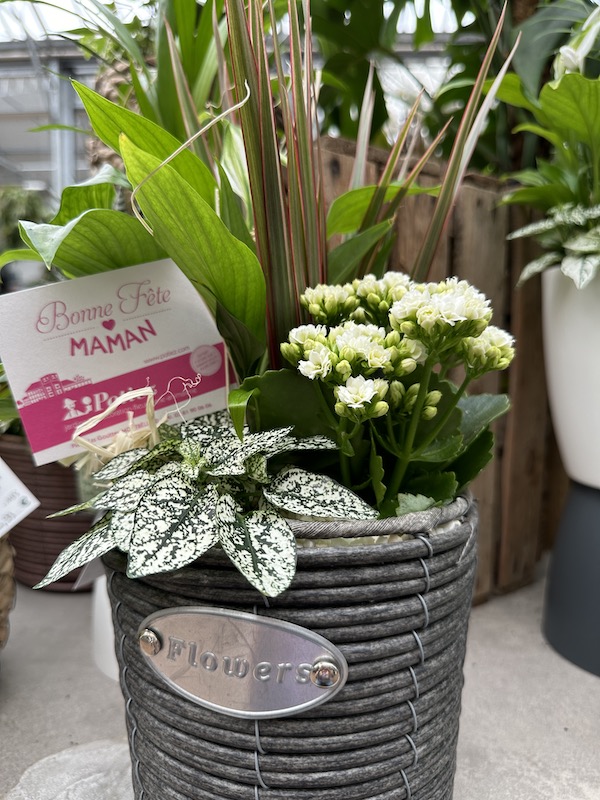 compositions florales jardinerie potiez montbeliard