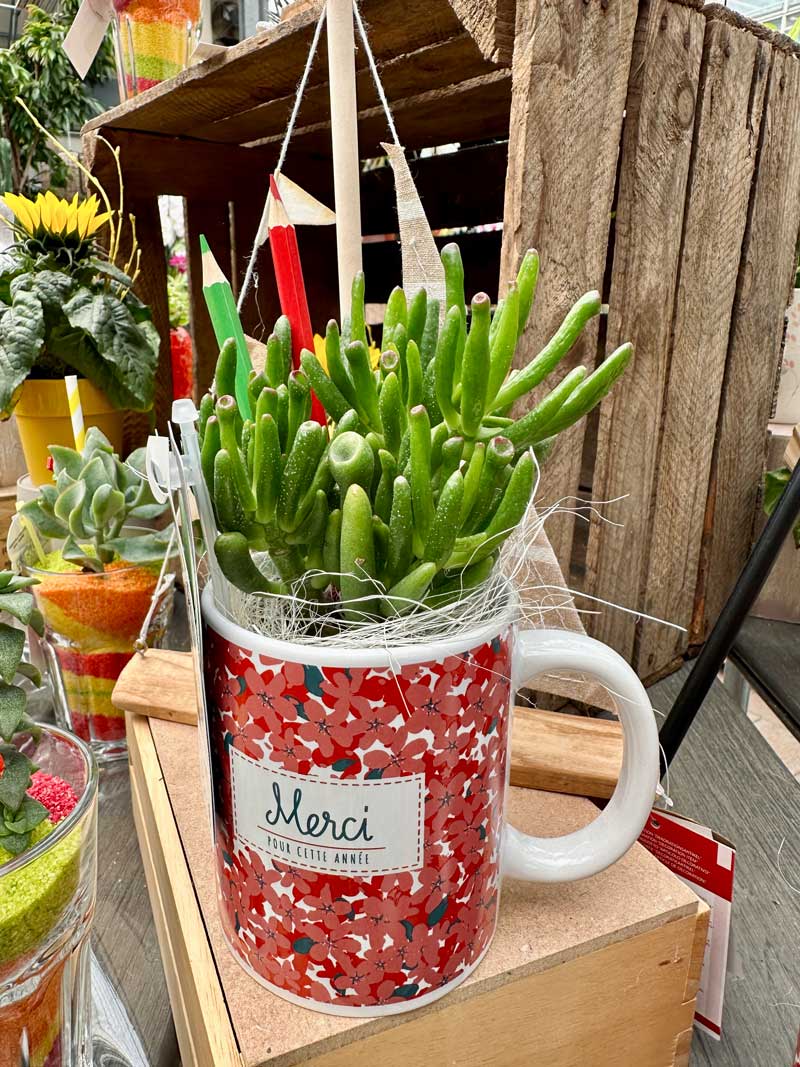 idee-cadeau-maitresse-composition-florale