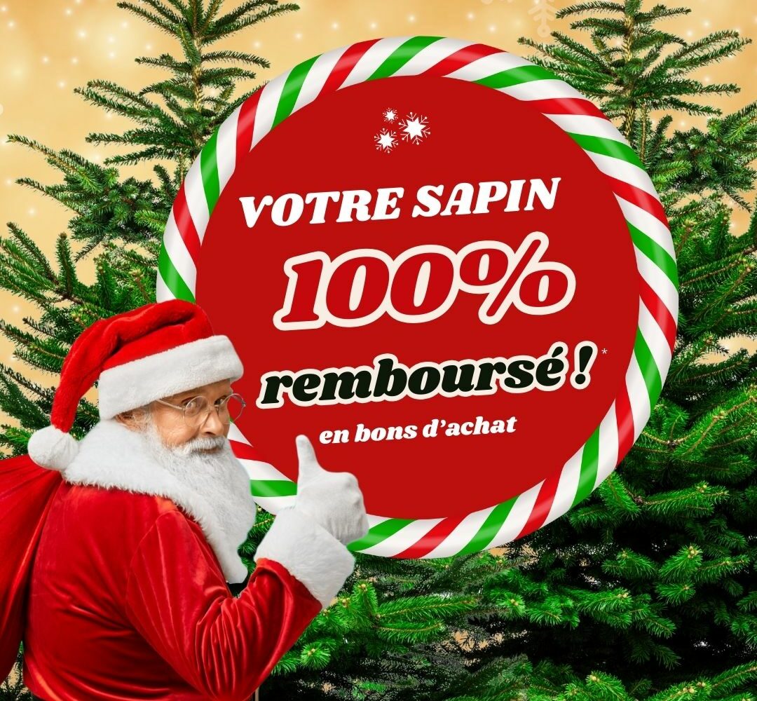 offre sapin de noel remboursé