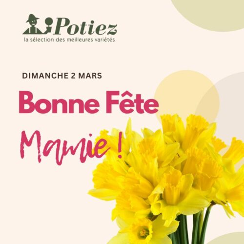 Bonne Fête Mamie