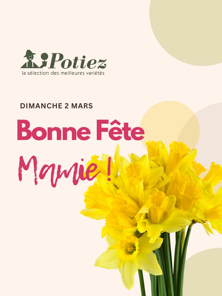 bonne fete mamie jardinerie potiez