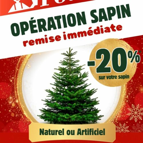 Promotion sur les sapins naturels et artificiels